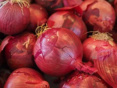 Onion  - Jumosol Fruits SL